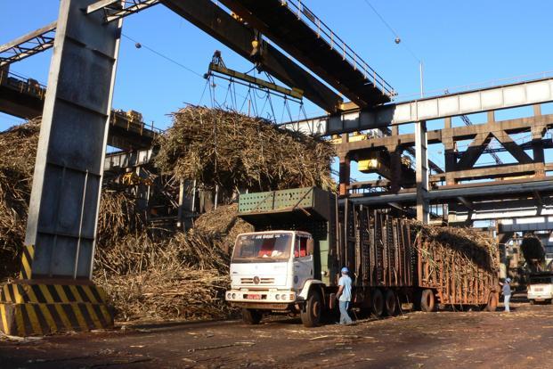 Exportações de açúcar da Índia travam com alta dos preços domésticos