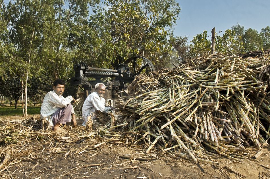 Índia irá aumentar subsídio sobre importação de açúcar