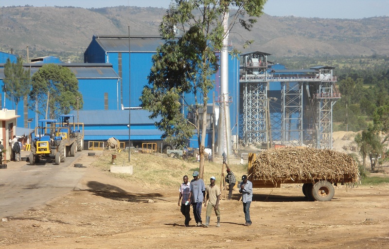 Maior produtora de açúcar do Quênia relata prejuízo em 2013/14