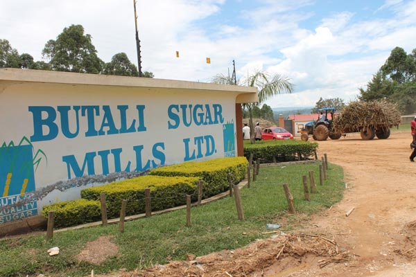 Usinas de açúcar no Quênia travam disputa judicial