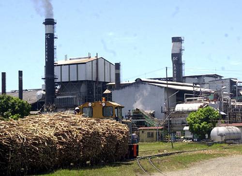 Indústria de açúcar do Fiji planeja diversificação
