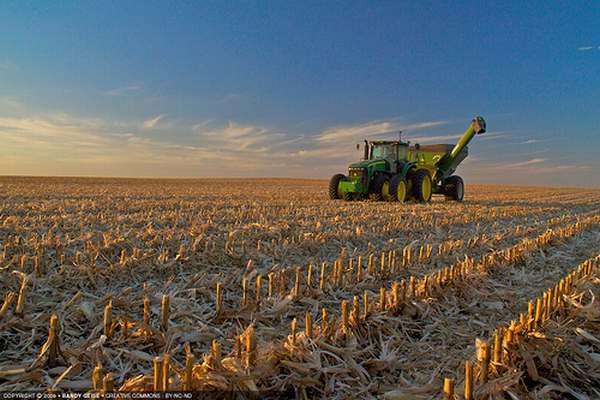USDA projeta estoques de milho dos EUA em baixa e de soja em alta