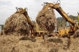 O bagaço integra as matérias-primas da biomassa da cana para gerar eletricidade