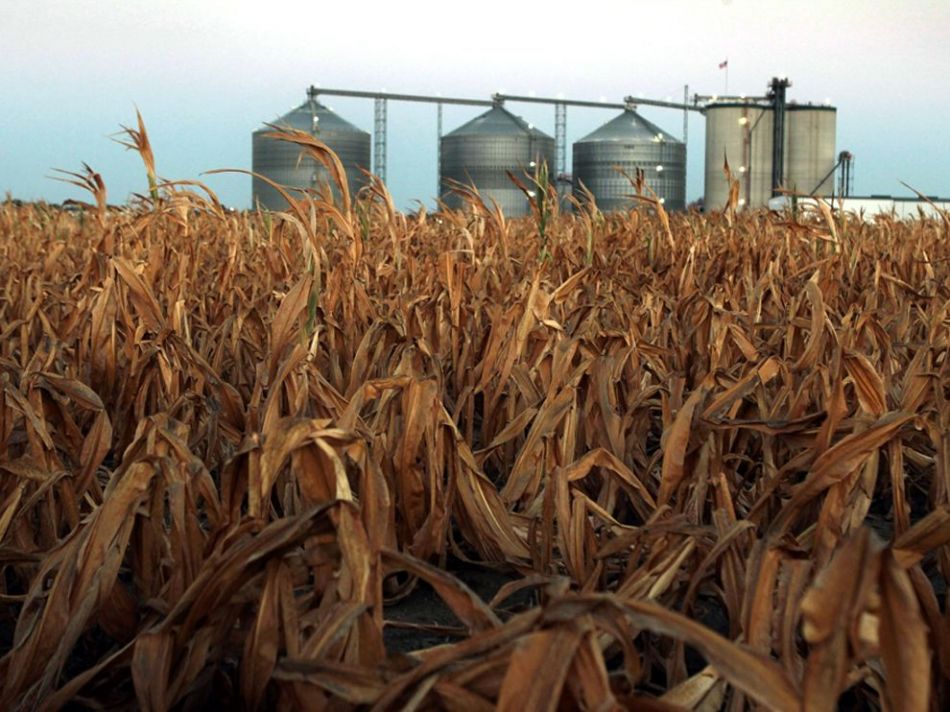 Dedini, Porta e DuPont unem suas forças em etanol de milho