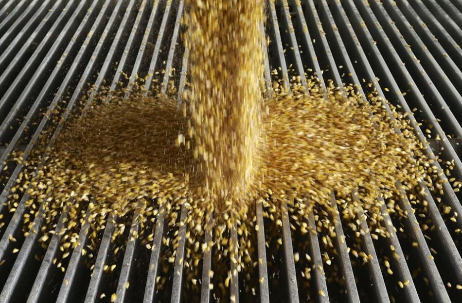 Etanol de milho está mais caro para produtor nos Estados Unidos