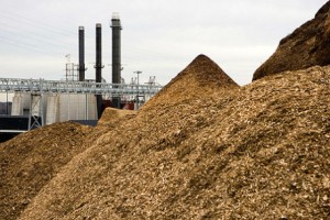 biomass-power-plant-456x304