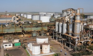 Unidade da Renuka: Companhia moeu 7,8 milhões de toneladas na 14/15