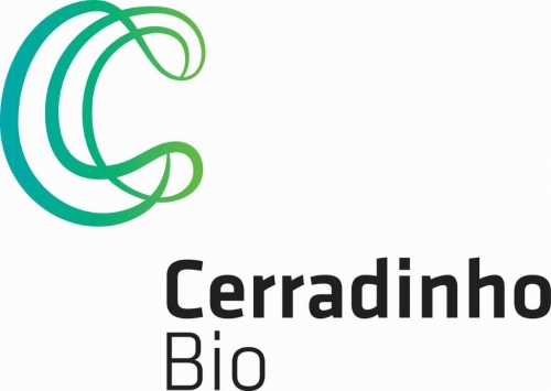 Usina de cana CerradinhoBio tem novo executivo