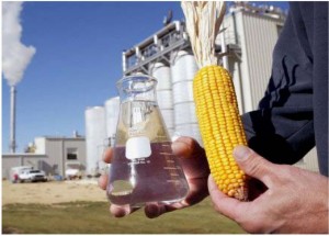A produção de etanol a partir do milho é esperada para dezembro próximo 