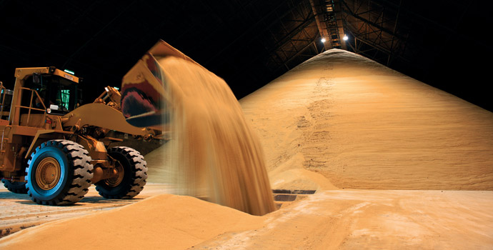 Consultoria Licht vê queda de 13,3 mi t na produção global de açúcar em 2015/16
