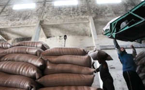 Funcionários carregam sacas de açúcar em usina em Campos dos Goytacazes