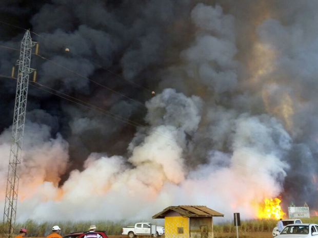 Incêndio atinge 6 fazendas e destrói plantações de milho e cana em MT