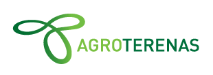 Fornecedora de cana Agroterenas apura lucro de R$ 14,9 milhões
