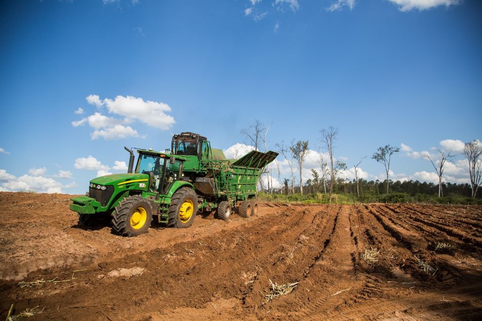 Operação de plantio em área canavieira da Guarani (Foto: Ferdinando Ramos/Divulgação)