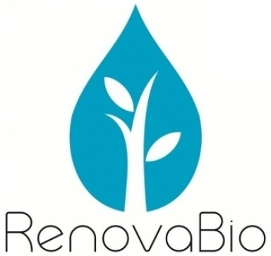 RenovaBio é entregue à Câmara e prevê salto no uso de etanol