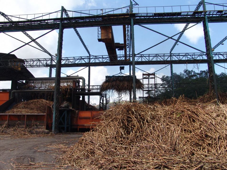 Moagem de cana nas usinas de Alagoas recua 13,6%