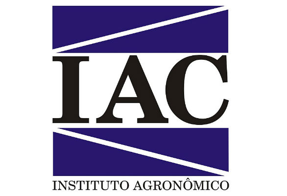 IAC entregará quatro variedades de cana na forma de MPB para canavicultores na região de Jaú