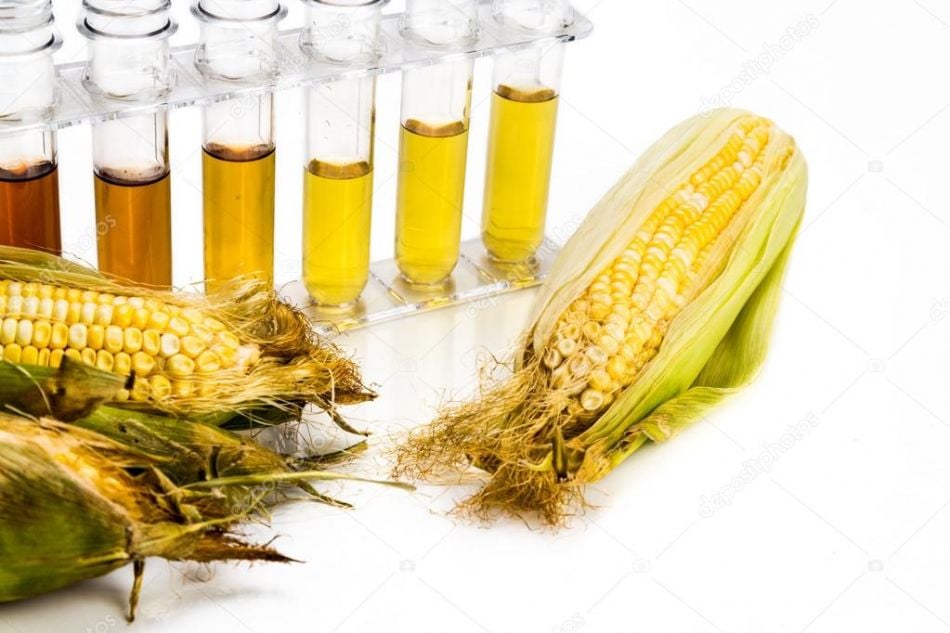 Produção de etanol de milho cresce 41,98% na comparação com igual período da safra passada