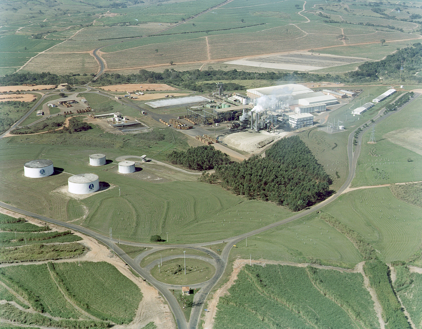A Usina Alto Alegre controla quatro unidades produtoras (Foto: Divulgação)