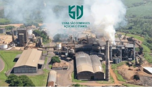 Como a Usina São Domingos bateu o recorde histórico de produção de açúcar