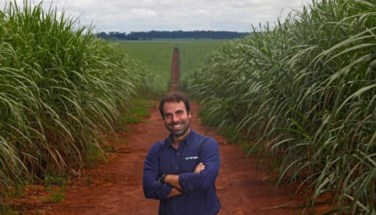 Azael Pizzolato Neto, produtor de cana na Ipê Agro