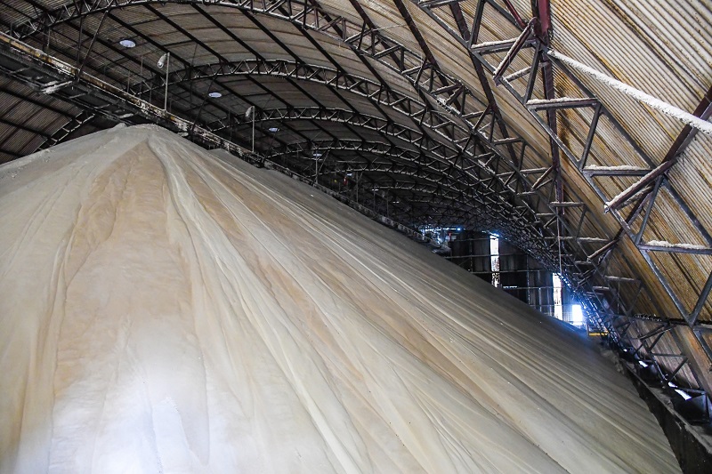 StoneX projeta 35,2 milhões de toneladas de produção de açúcar na safra 2023/24