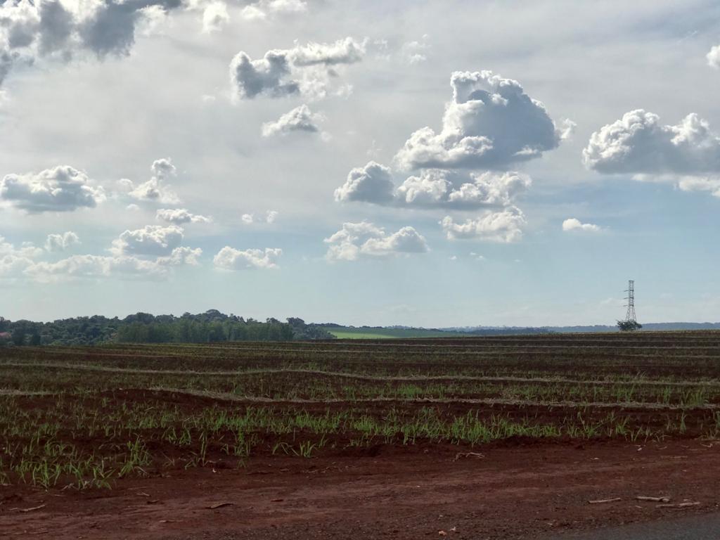 Pernambuco processa 12,2 milhões de toneladas de cana