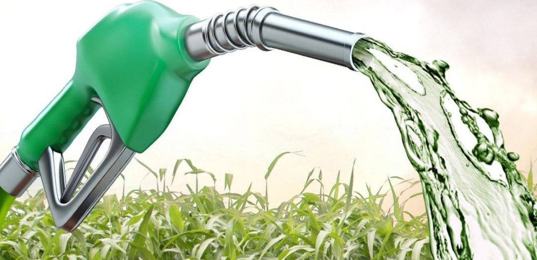 Movimento de queda no preço do etanol se acentua