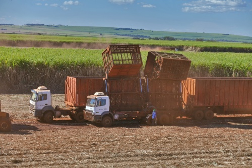 Portaria do MInfra garante mais eficiência no transporte de cana-de-açúcar e granéis