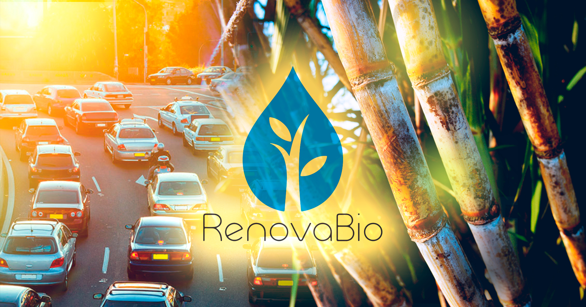 Distribuidoras de combustíveis afirmam que RenovaBio fracassou e pedem ajustes no programa