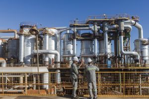 BP Bunge se consolida no setor bioenergético com crescimento de 30% em 3 anos de operação